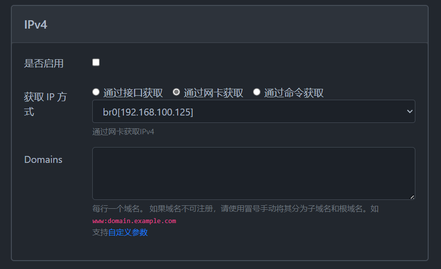 DDNS-GO 网卡配置
